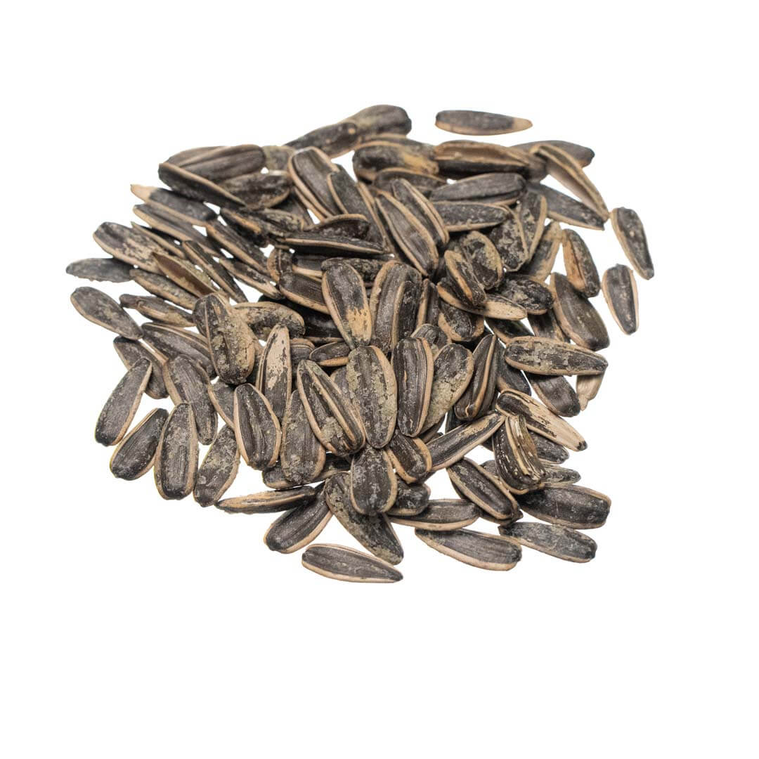 ΞΗΡΟΙ ΚΑΡΠΟΙ ΗΛΙΟΣΠΟΡΟΣ ΨΗΜΕΝΟΣ ΞΗΡΟΙ ΚΑΡΠΟΙ ΗΛΙΟΣΠΟΡΟΣ ΨΗΜΕΝΟΣ