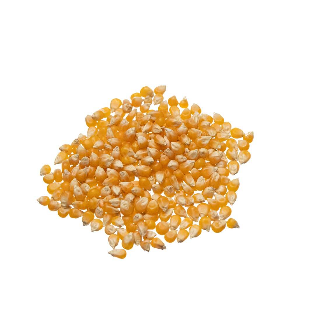 ΞΗΡΟΙ ΚΑΡΠΟΙ ΩΜΟΙ ΠΟΠ ΚΟΡΝ ΞΗΡΟΙ ΚΑΡΠΟΙ ΩΜΟΙ ΠΟΠ ΚΟΡΝ