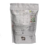 biologos_buffalo_back